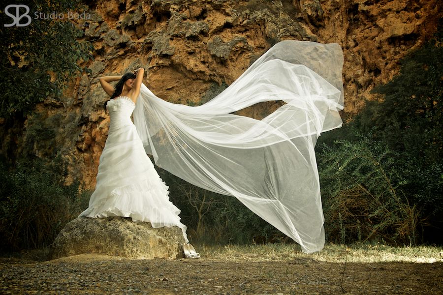 mejores-fotos-de-boda-201124 novia con velo