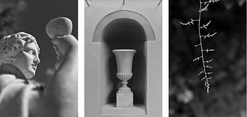 detalles-jardines-valencia detalles blanco y negro