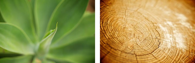 dett-plantas-monforte detalles plantas monforte