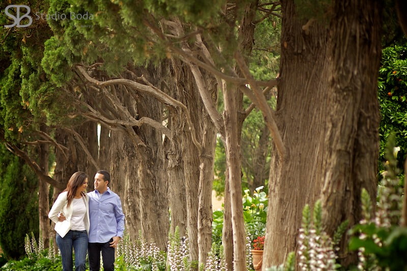 pre-boda-monforte7 arboles preboda
